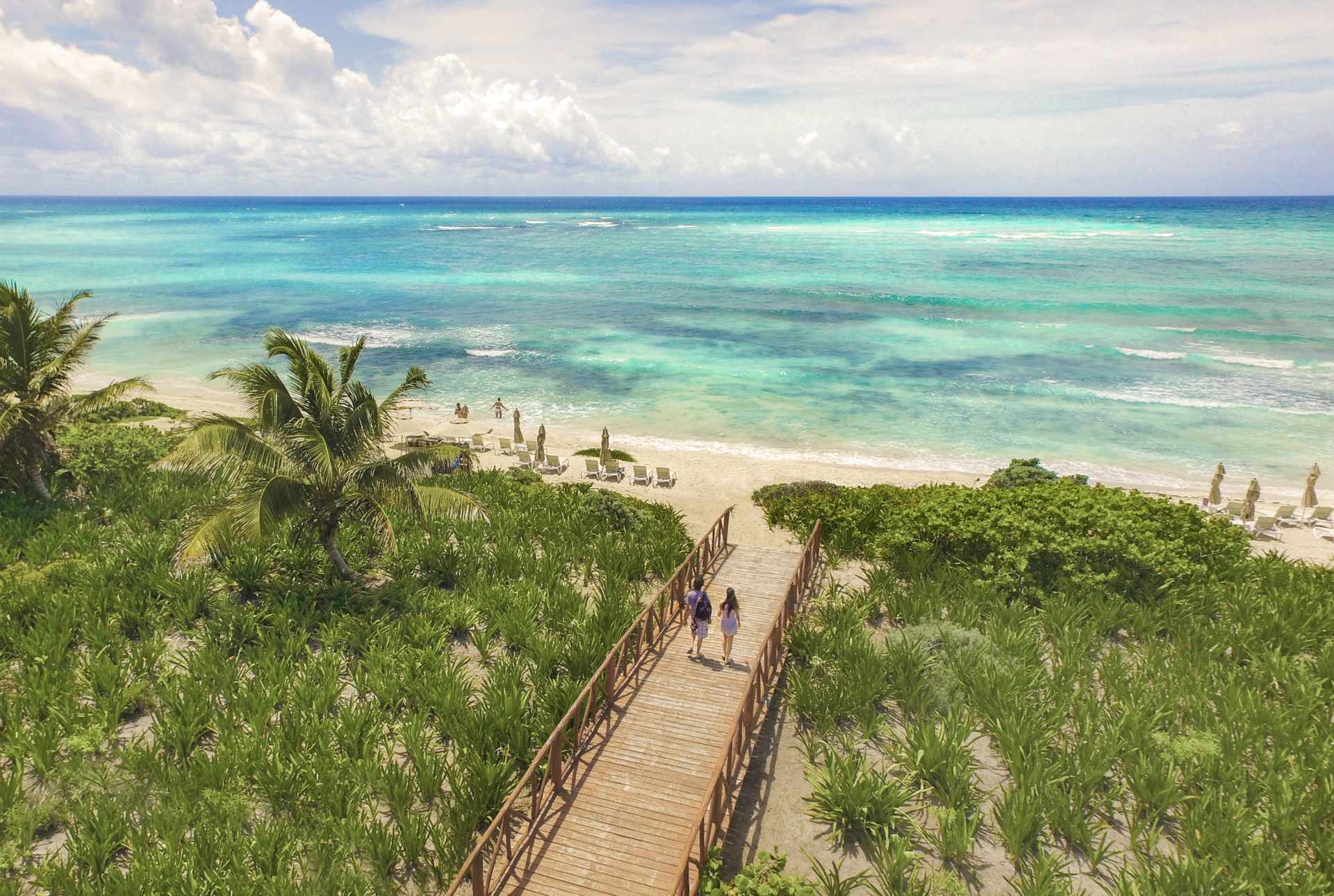 a group of people walking on a wooden bridge over a beach